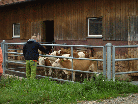 Jahresausflug Bad Staffelstein 2017